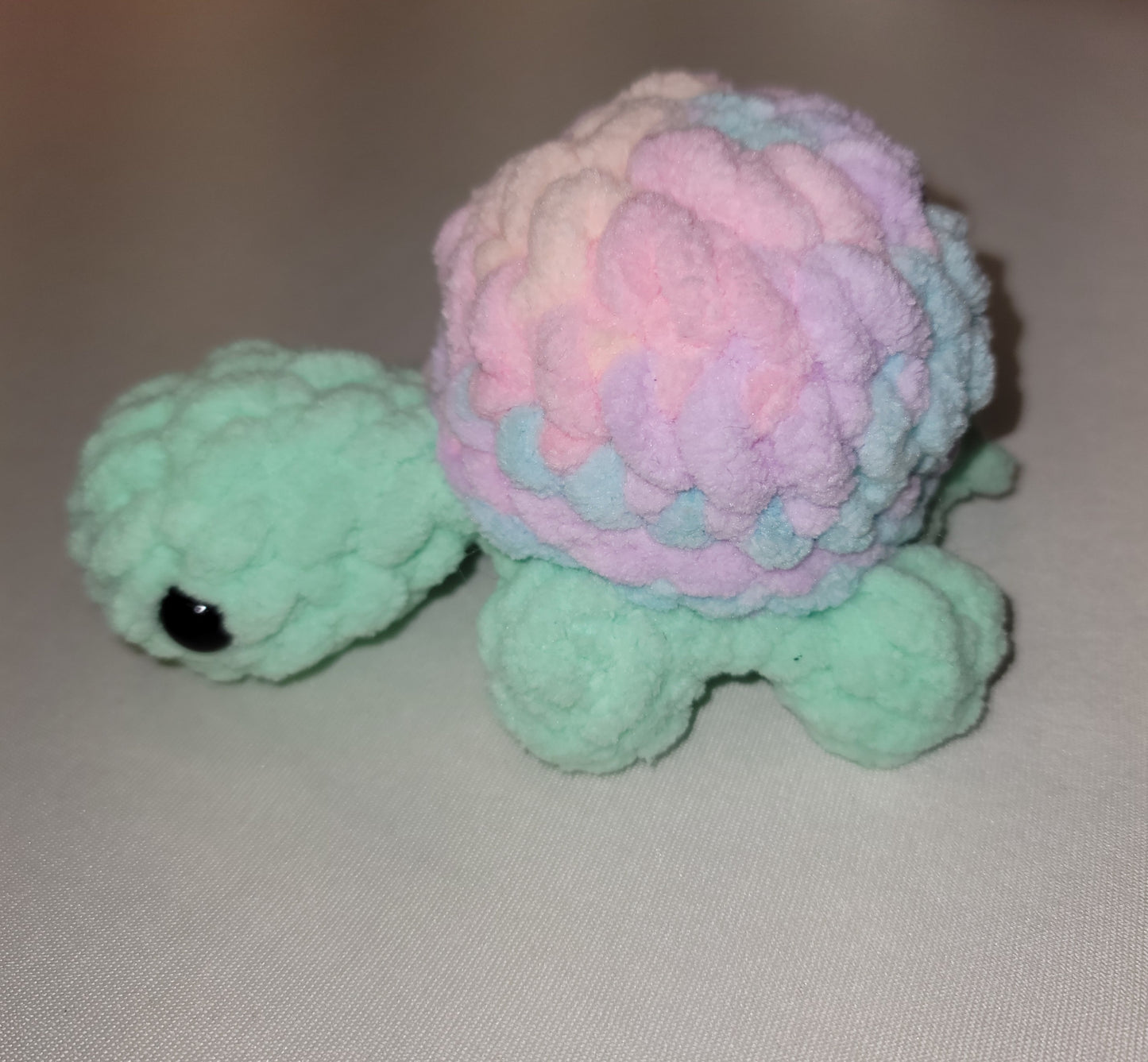 Pastel Rainbow Turtle
