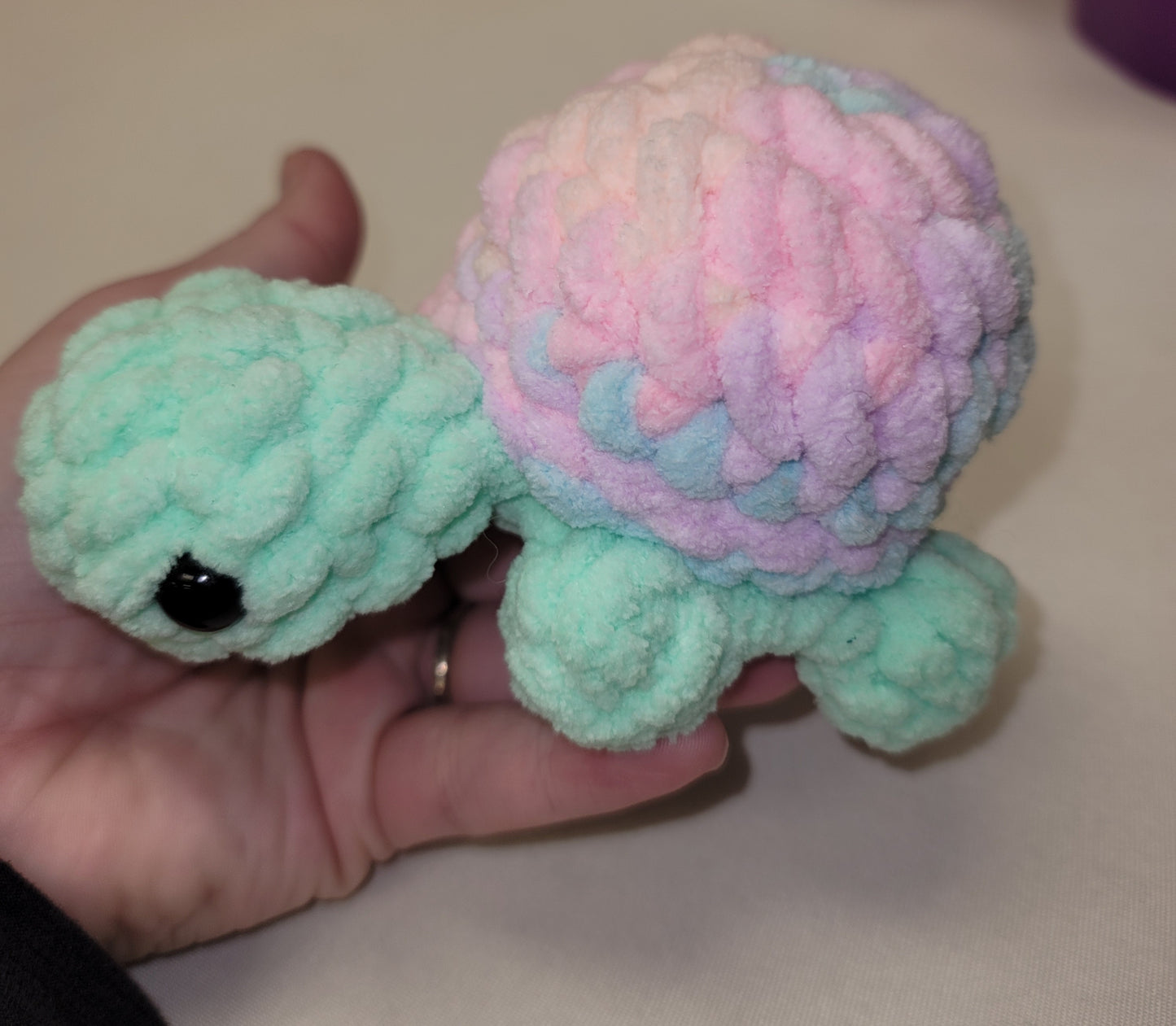 Pastel Rainbow Turtle