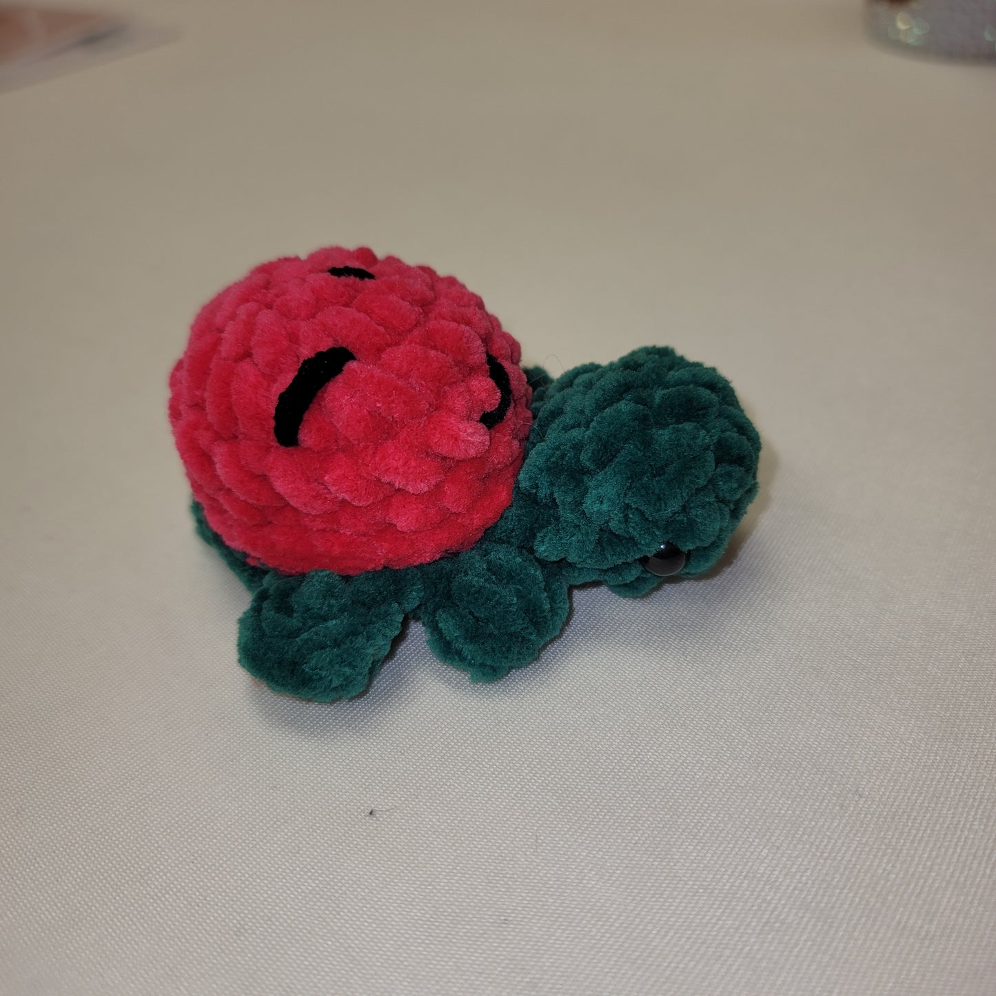 Watermelon Turtle