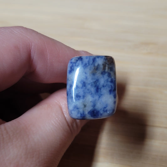 Blue Spot Jasper Car Clip