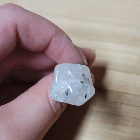 Black Tourmaline in Quartz Car Clip