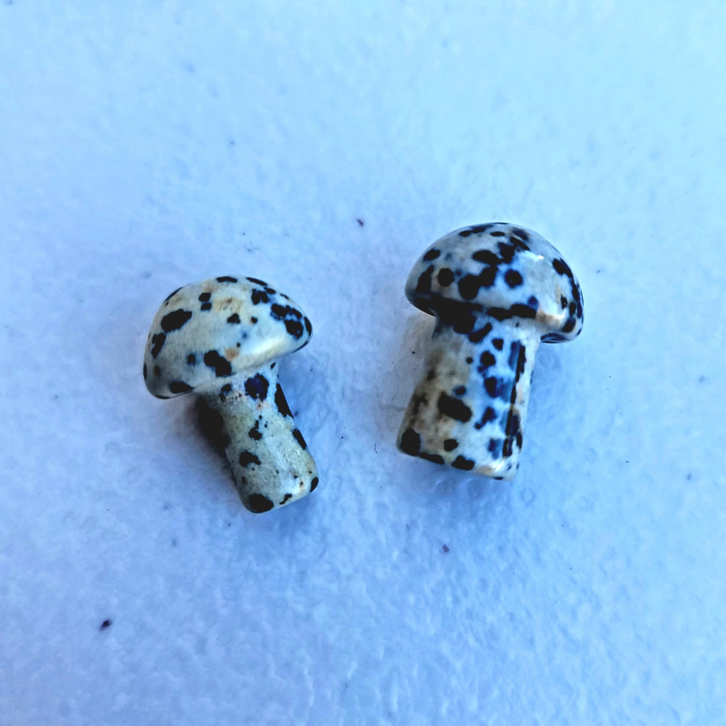 Dalmatian Jasper Mini Mushroom