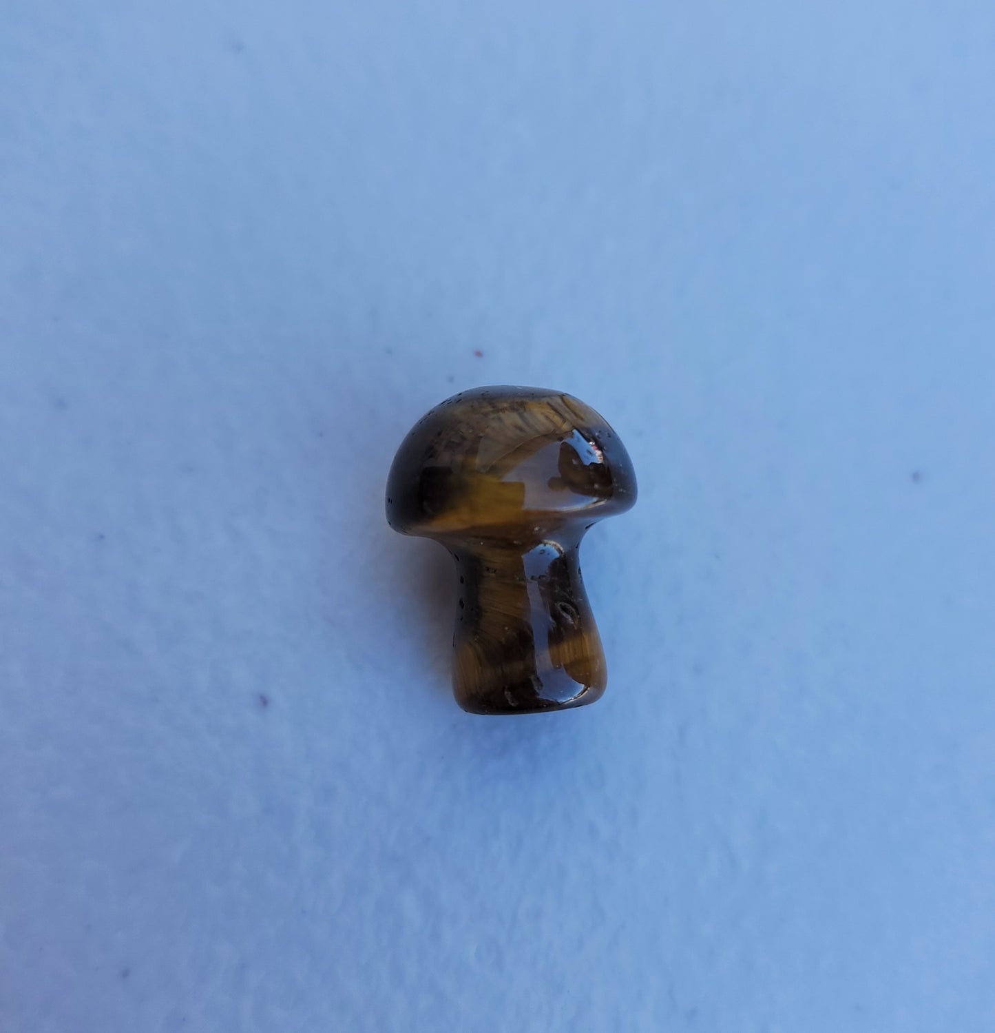 Tiger's Eye Mini Mushroom