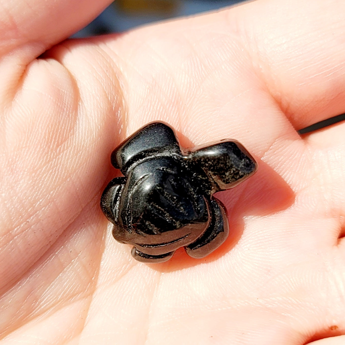 Obsidian Mini Turtle