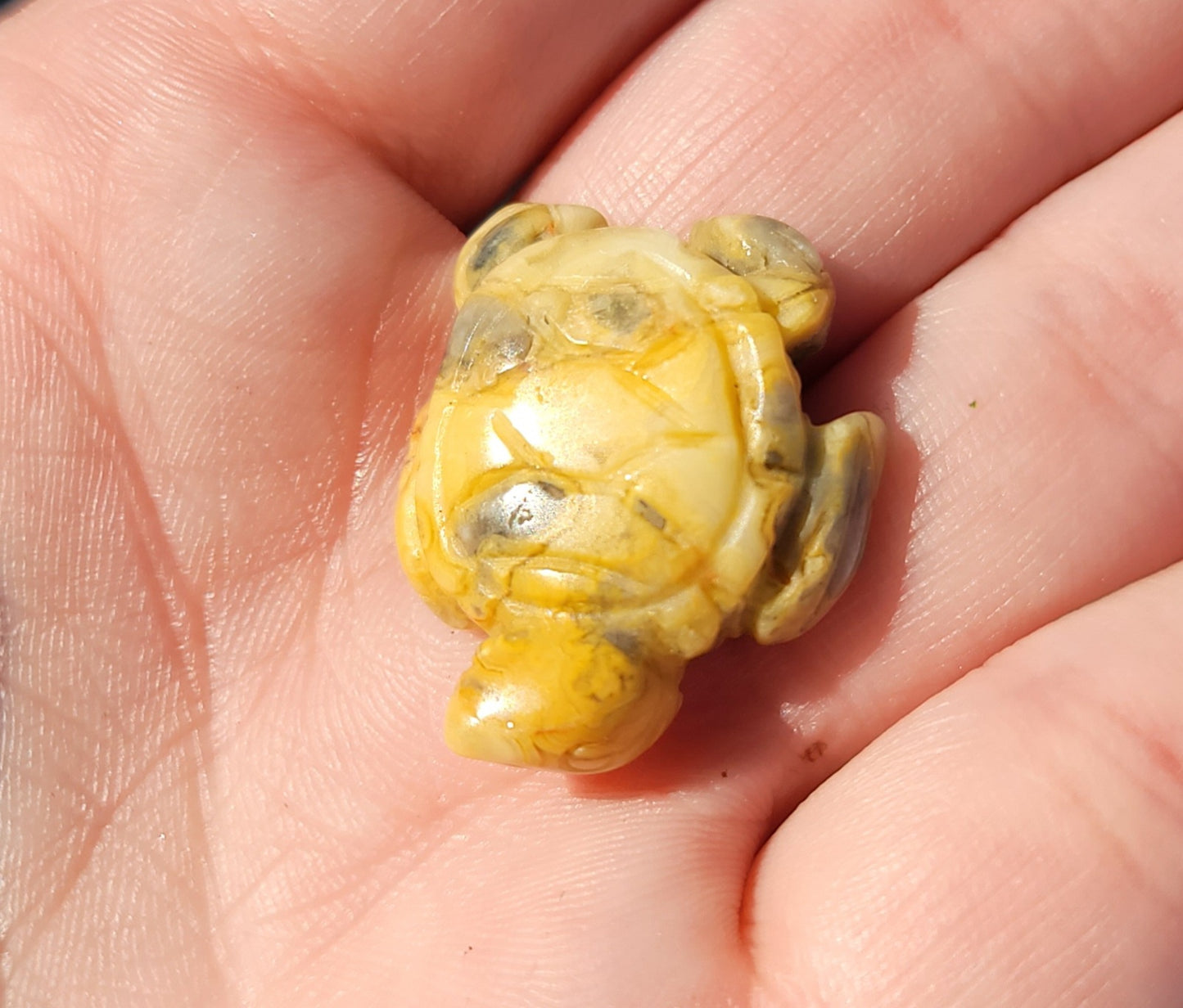 Crazy Lace Agate Mini Turtle