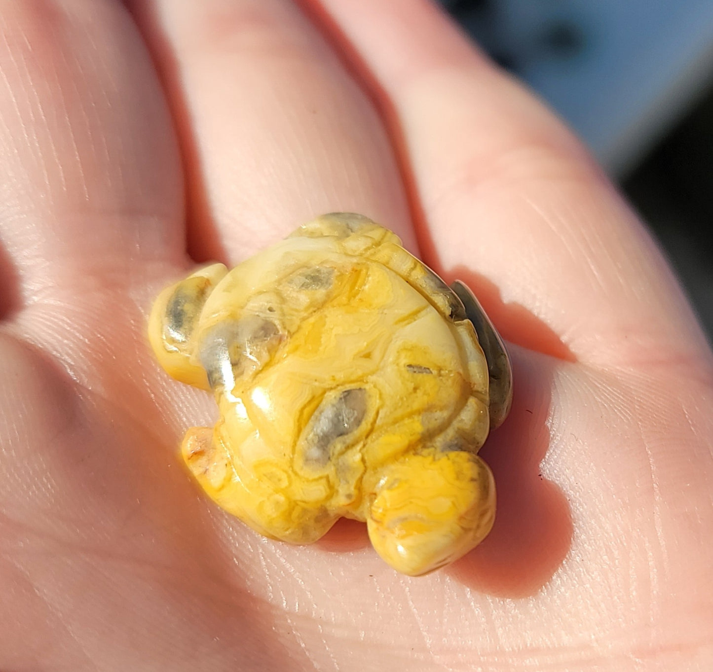 Crazy Lace Agate Mini Turtle