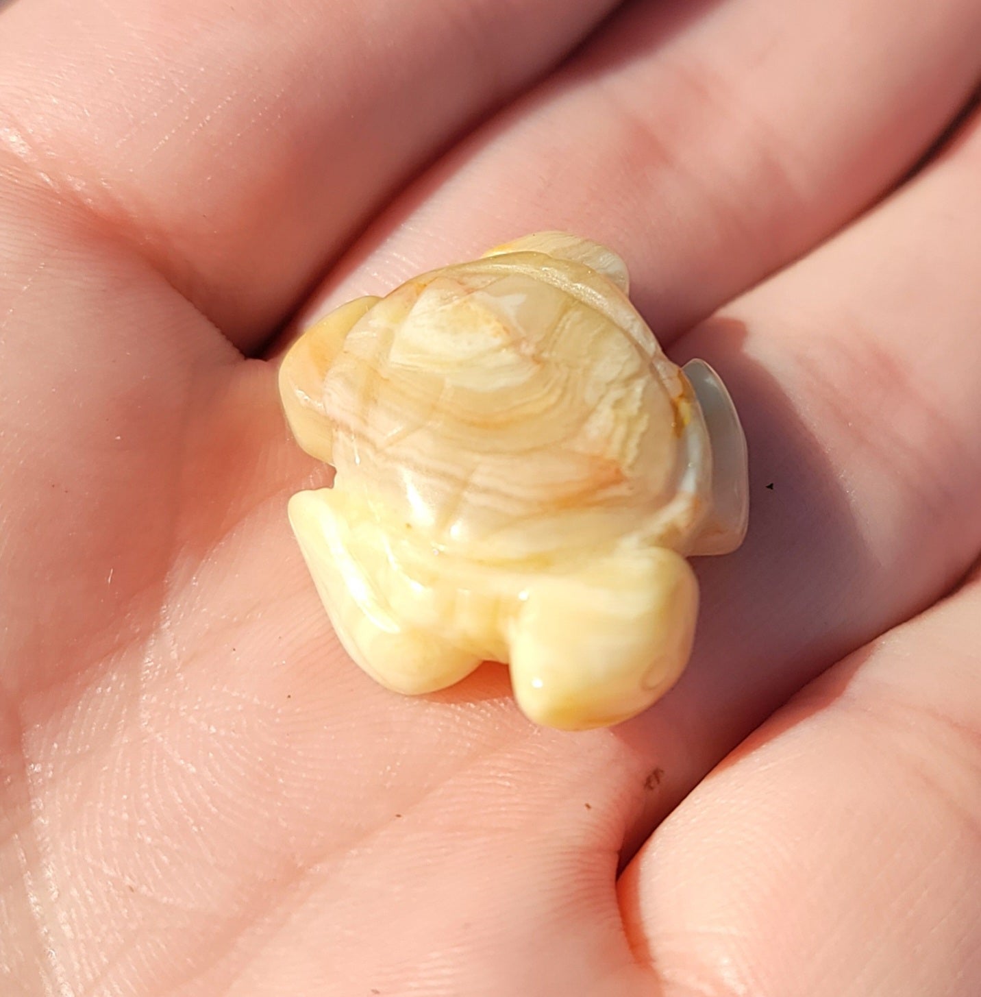 Crazy Lace Agate Mini Turtle