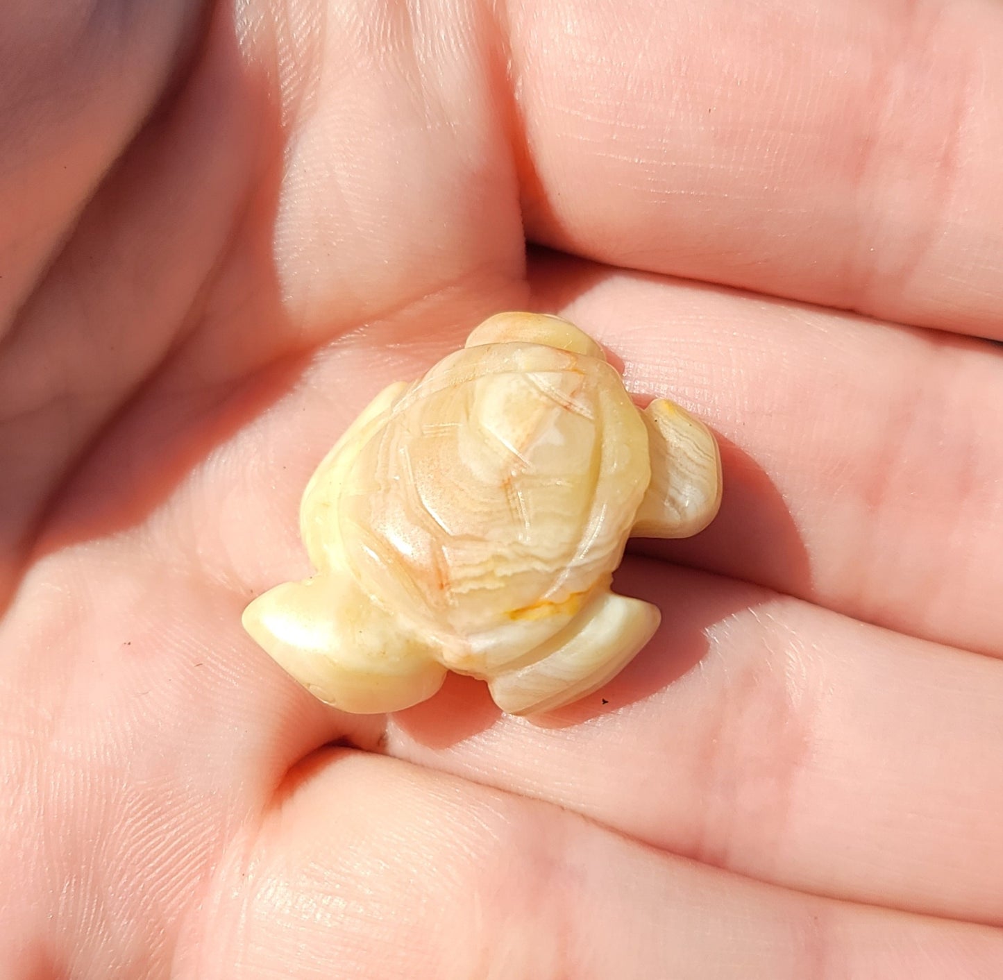 Crazy Lace Agate Mini Turtle