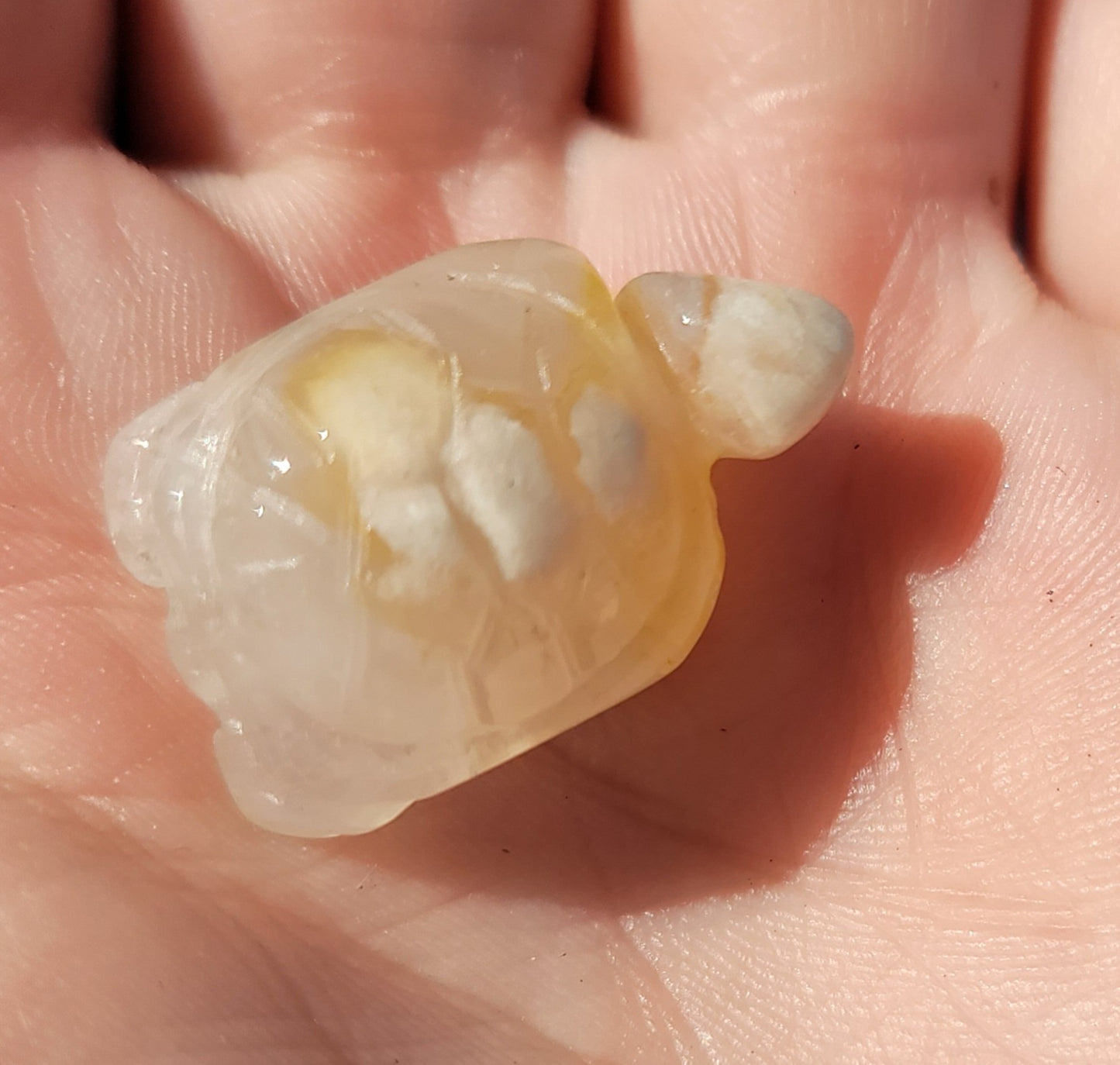 Small Flower Agate Turtle