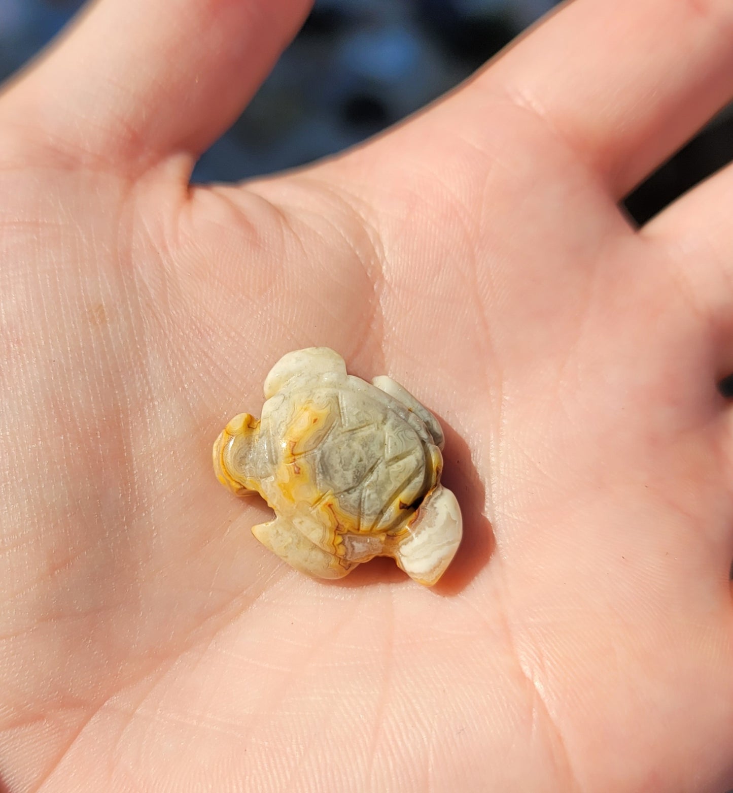 Crazy Lace Agate Mini Turtle