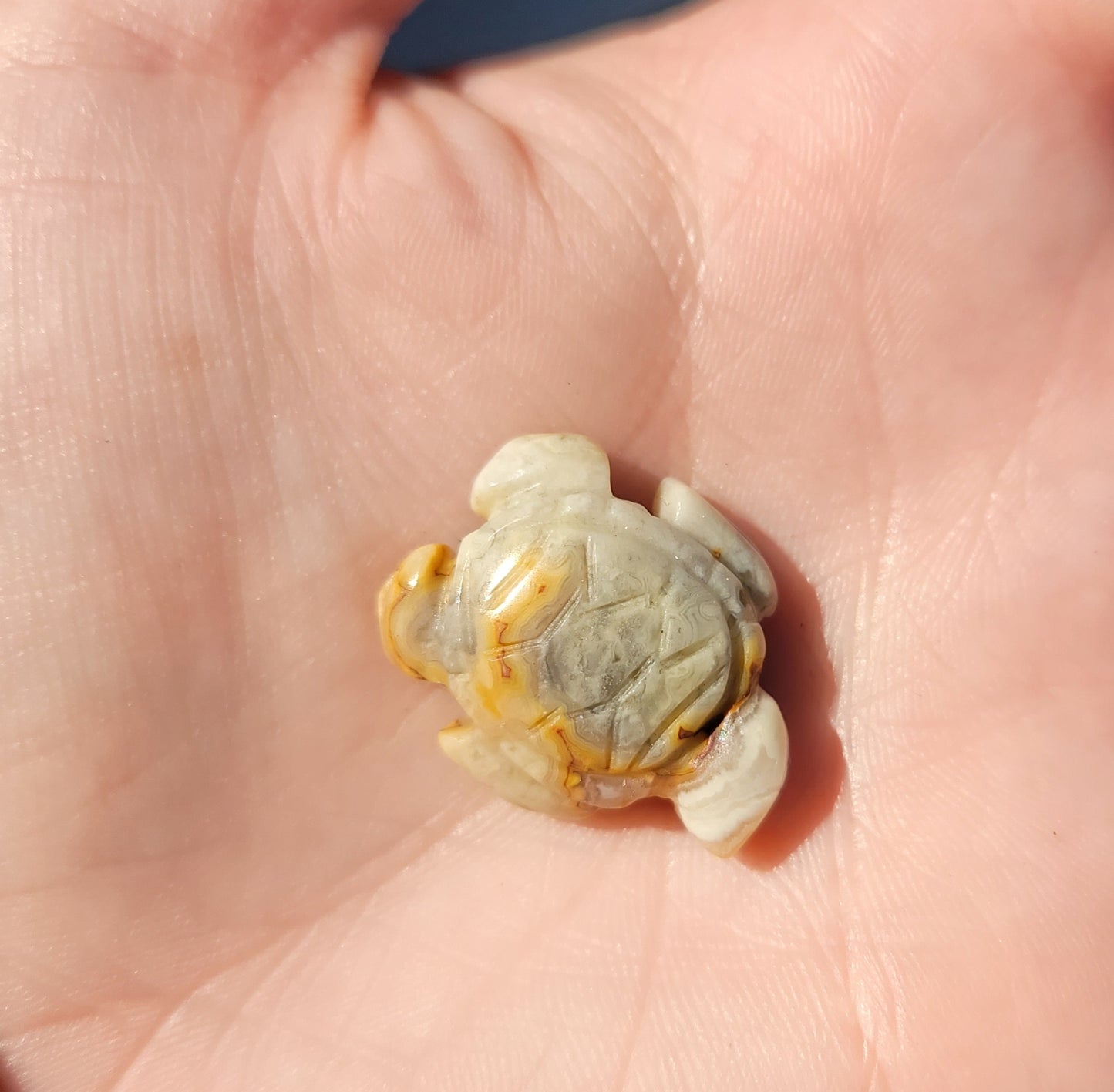Crazy Lace Agate Mini Turtle