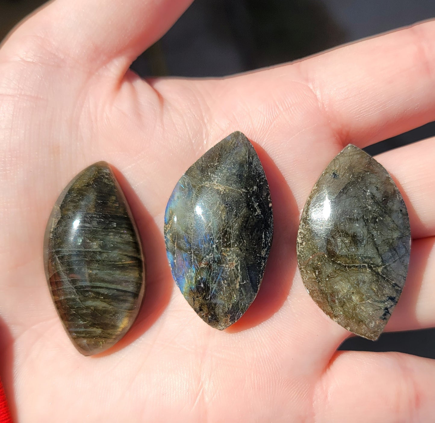 Labradorite Leaf