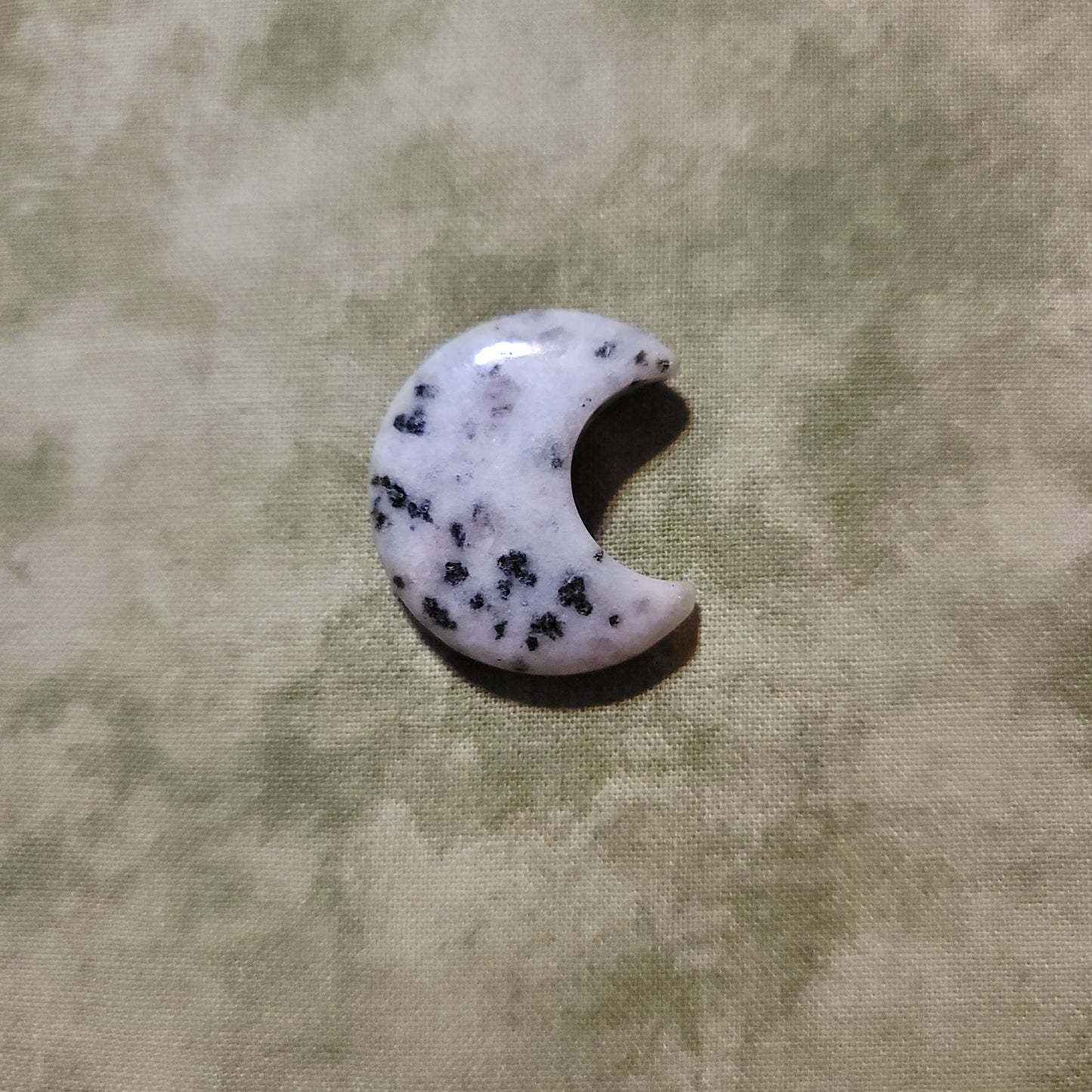 Kiwi Jasper Moon