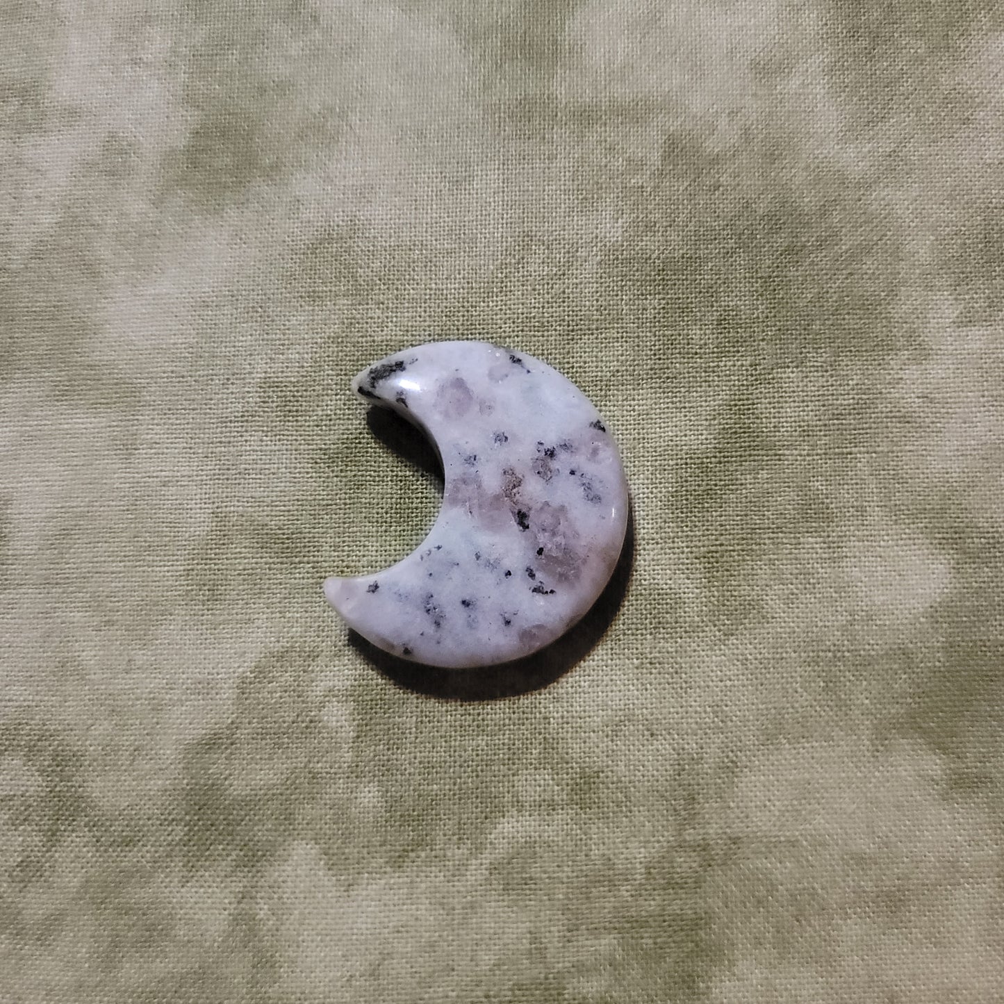 Kiwi Jasper Moon