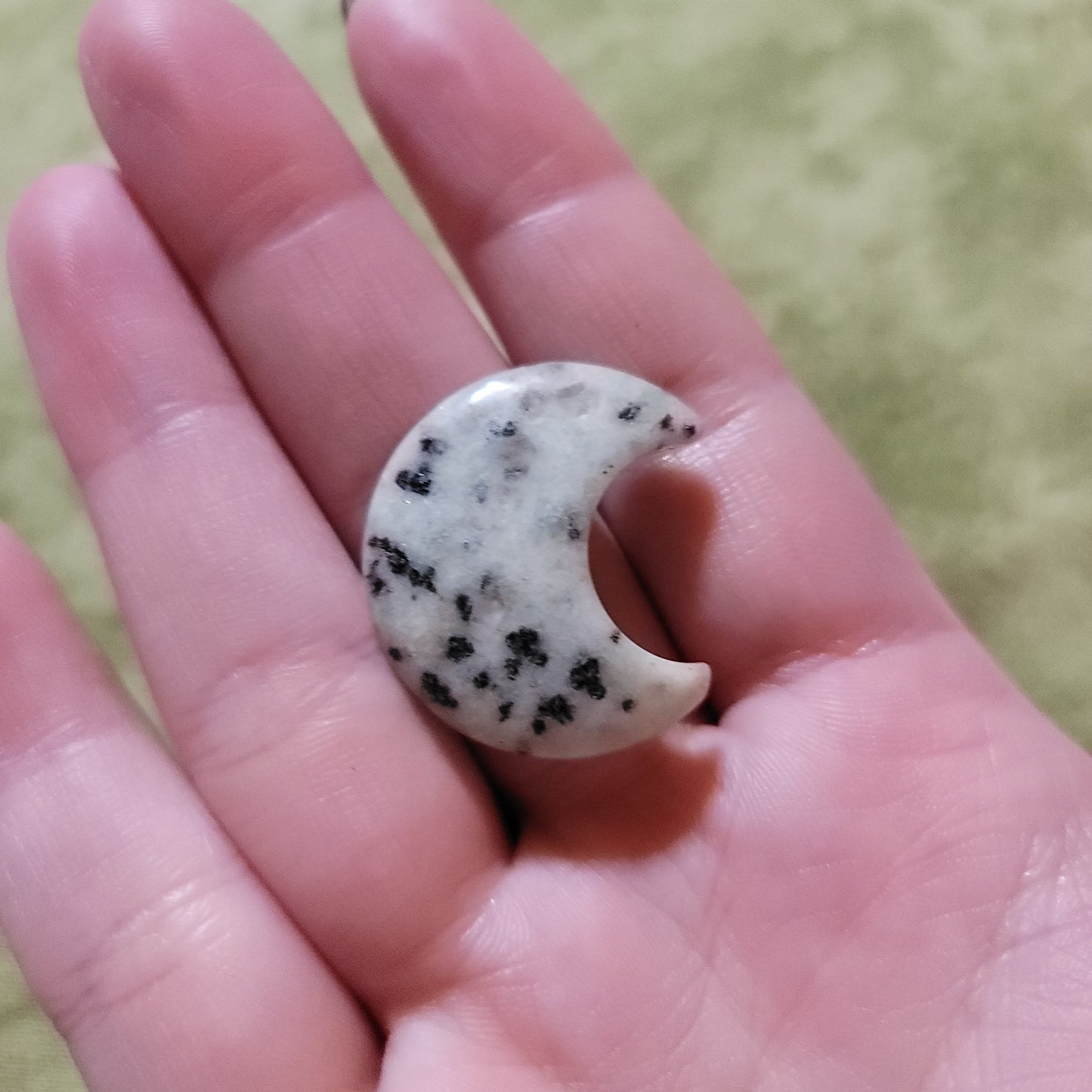 Kiwi Jasper Moon