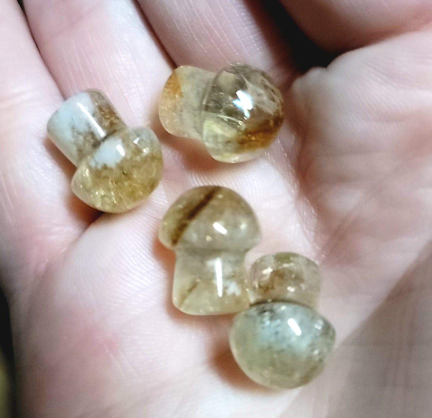 Golden Healer Mini Mushroom