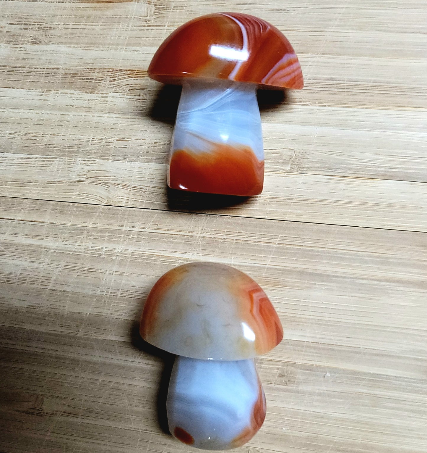 Carnelian Mushroom