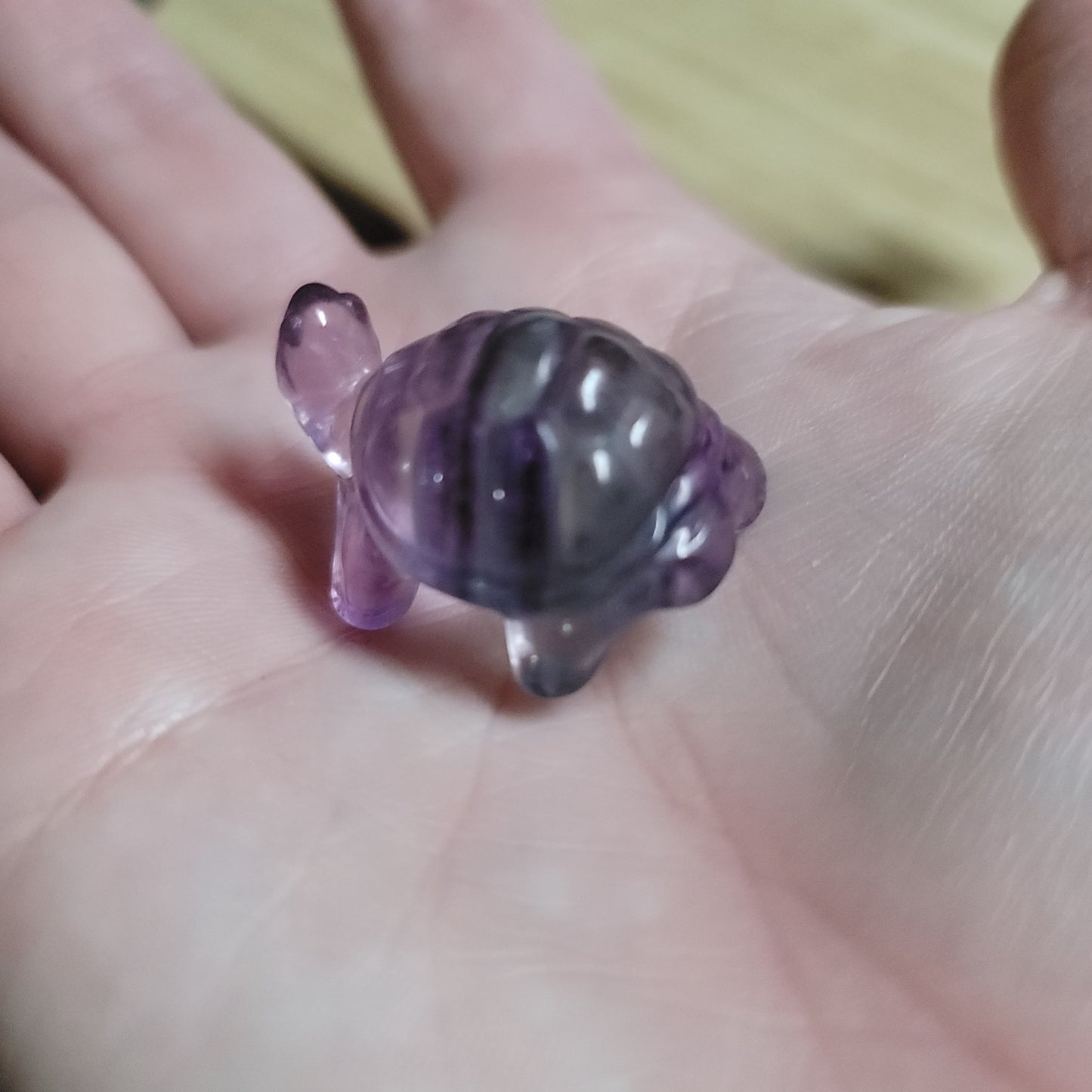 Rainbow Fluorite Small Turtle