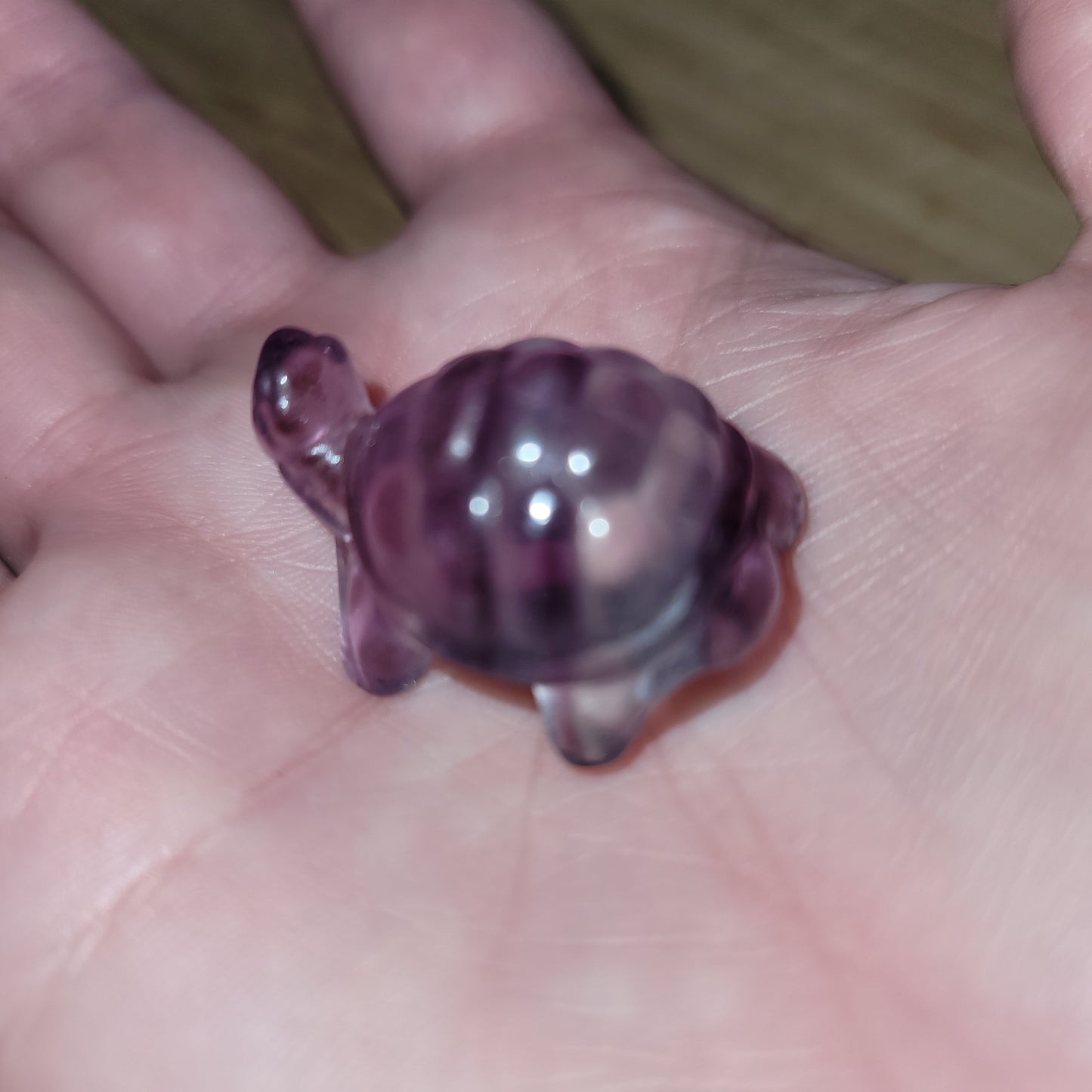 Rainbow Fluorite Small Turtle