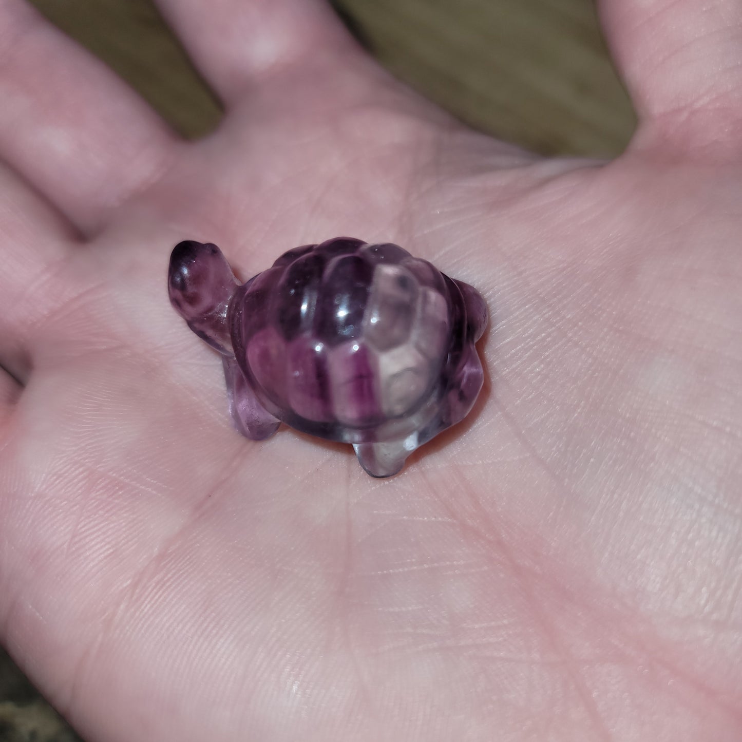 Rainbow Fluorite Small Turtle
