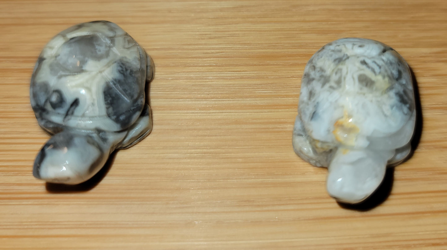 White Crazy Lace Agate Turtle