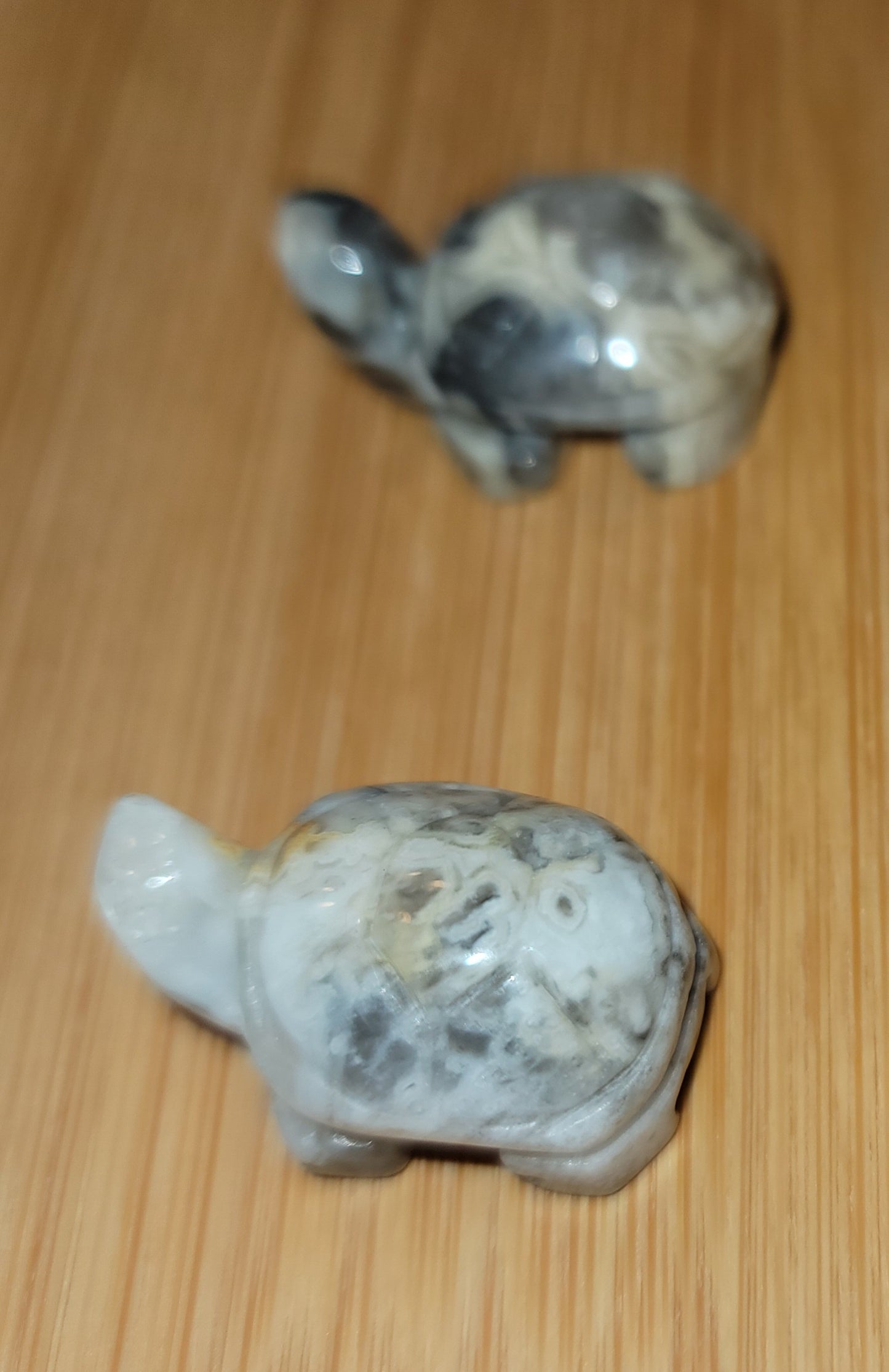 White Crazy Lace Agate Turtle
