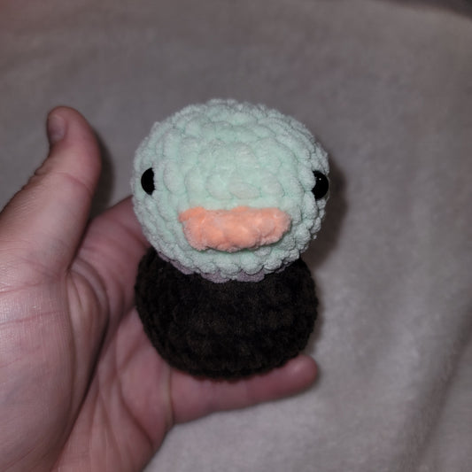 Little Duck