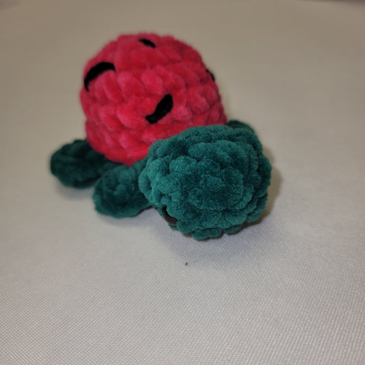 Watermelon Turtle