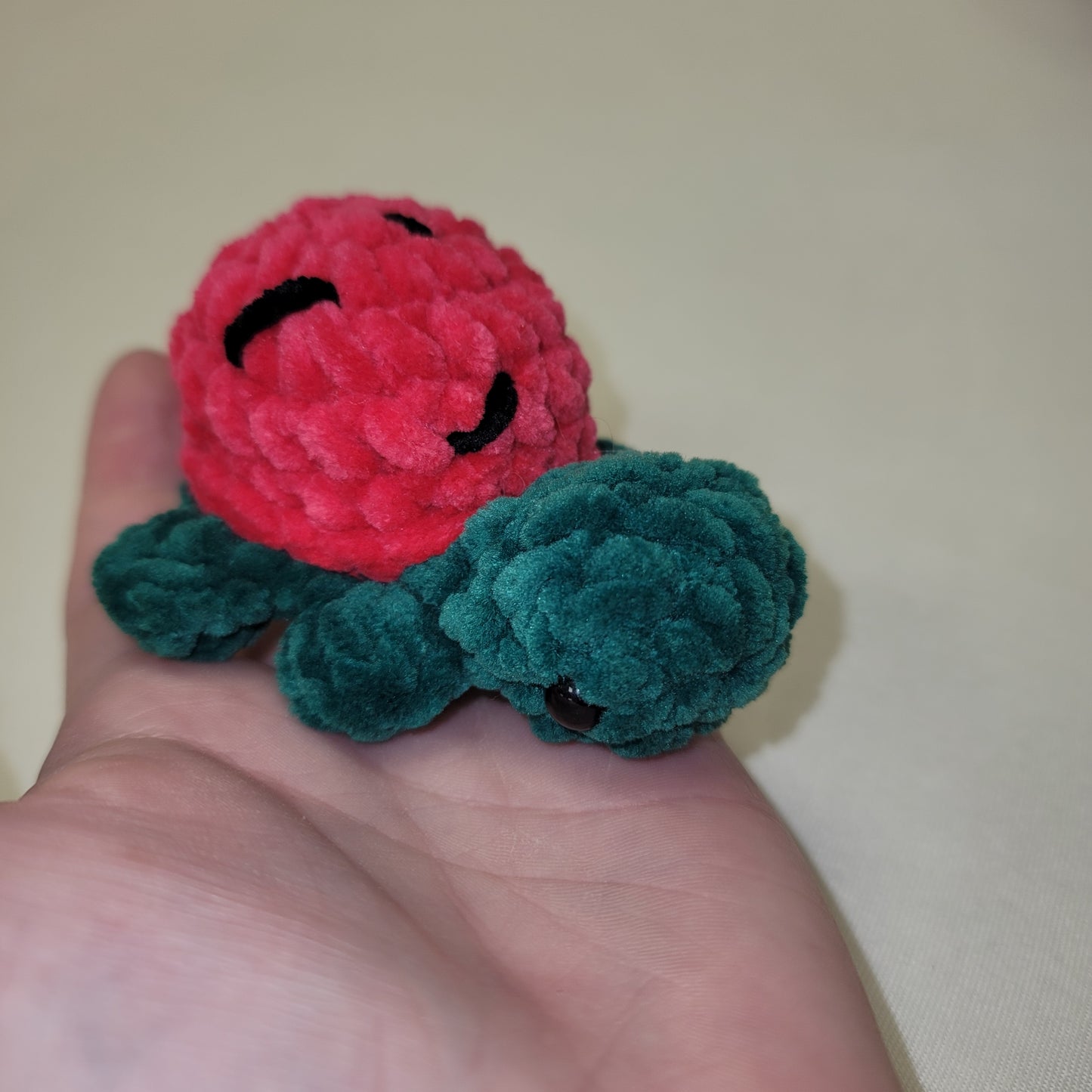 Watermelon Turtle