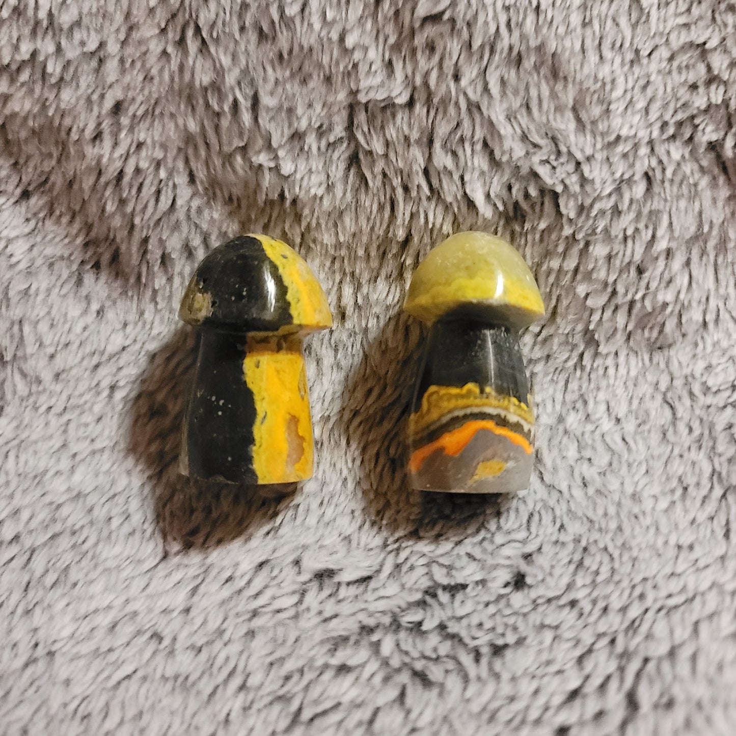 Bumblebee Jasper Mushroom