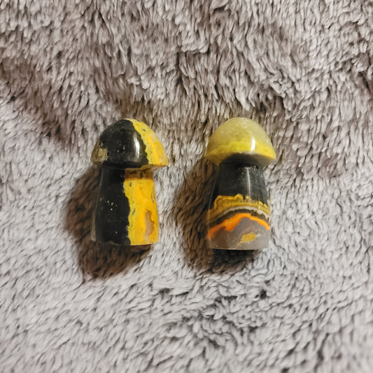 Bumblebee Jasper Mushroom