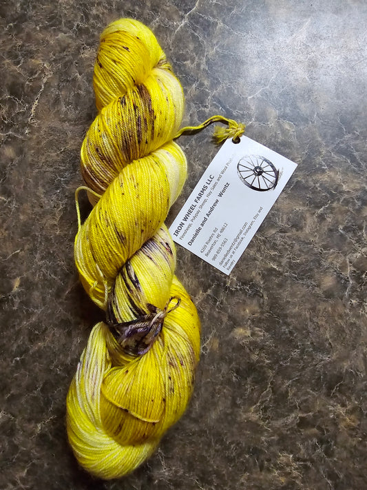 Iron Wheel Farms Yarn