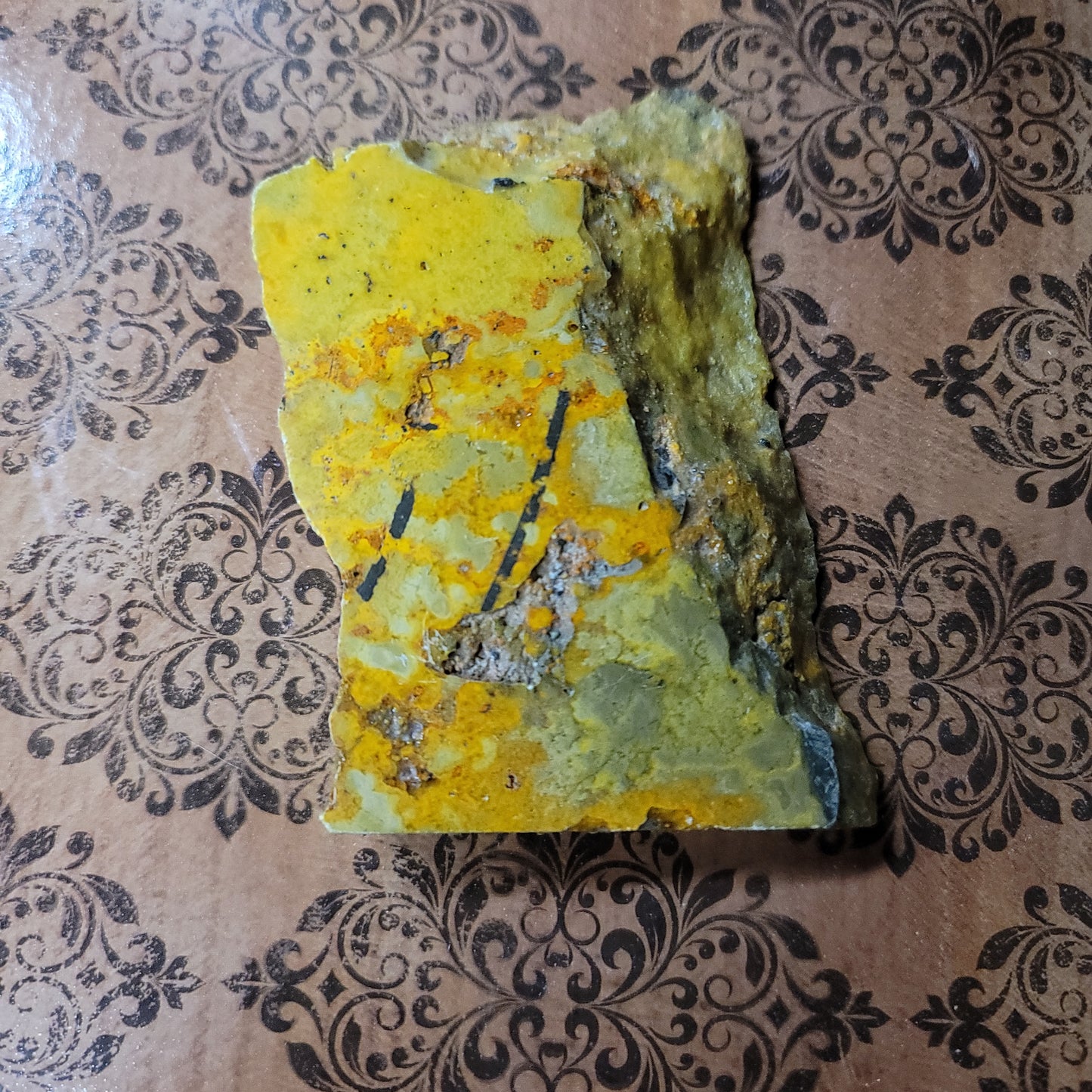 Bumblebee Jasper Slab