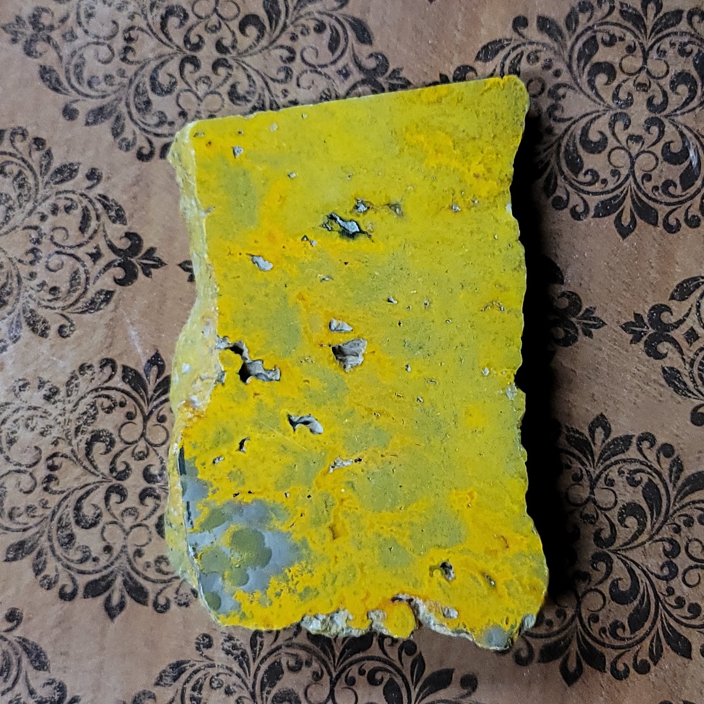 Bumblebee Jasper Slab