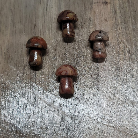 Crazy lace agate mini mushrooms
