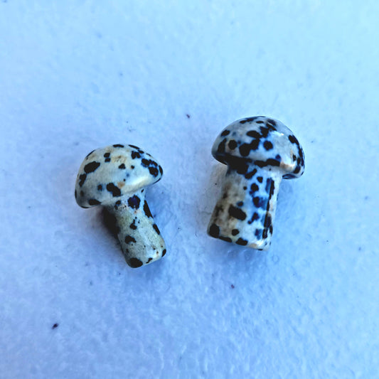 Dalmatian Jasper Mini Mushroom