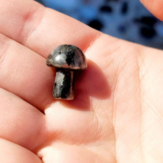 Larvikite Mini Mushroom
