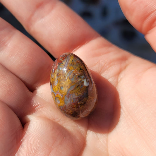 Crazy Lace Agate Mini Egg