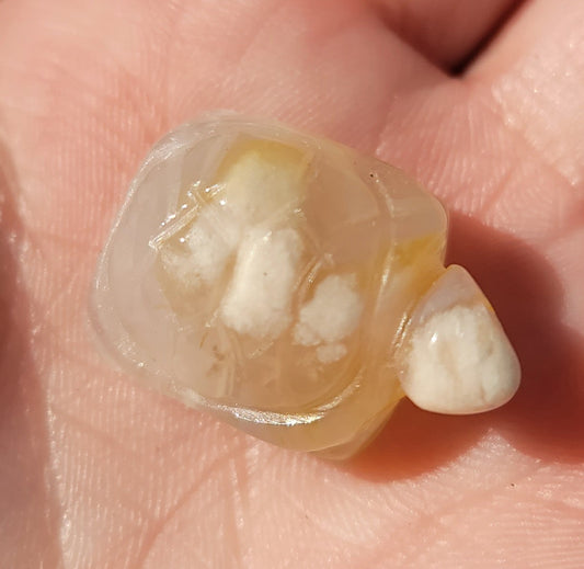 Small Flower Agate Turtle