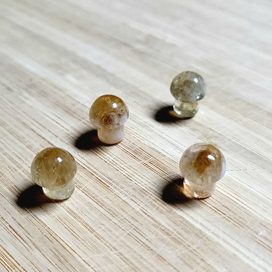 Golden Healer Mini Mushroom