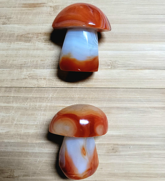 Carnelian Mushroom