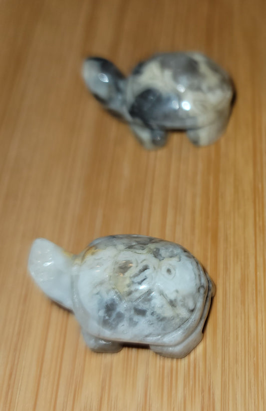 White Crazy Lace Agate Turtle