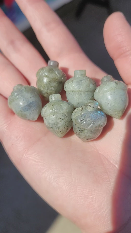 Labradorite Mini Acorns